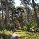 Lejlighed Haus Waldluft Whg. Buche