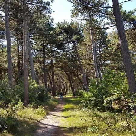 Haus Waldluft Whg. Buche شقة *