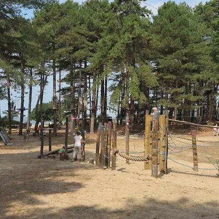 Appartamento Haus Waldluft Whg. Buche